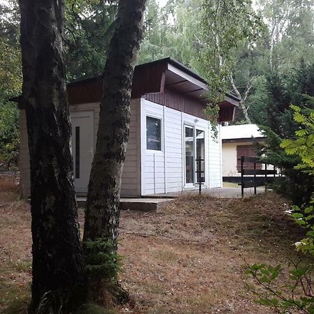 Bungalowdorf Klein Budelsdorf Altenberg Ngoại thất bức ảnh