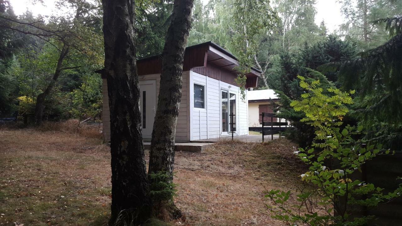 Bungalowdorf Klein Budelsdorf Altenberg Ngoại thất bức ảnh